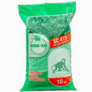 SC 419